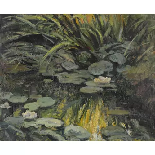 Seerosenteich