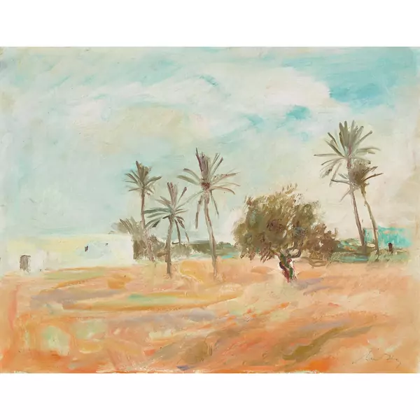 Tunesische Landschaft