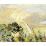 Sonnenstrahl auf weiter Landschaft
