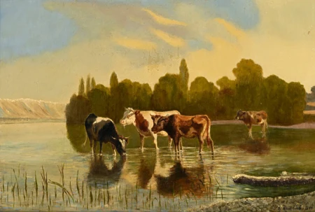 Vaches s'abreuvant au bord du lac