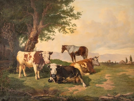 Vaches et cheval au pré
