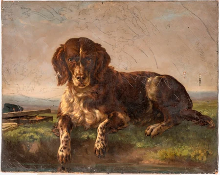 Portrait du chien Blitz