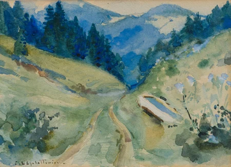 Paysage de montagne