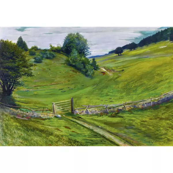 Hügelige Landschaft mit Zaun
