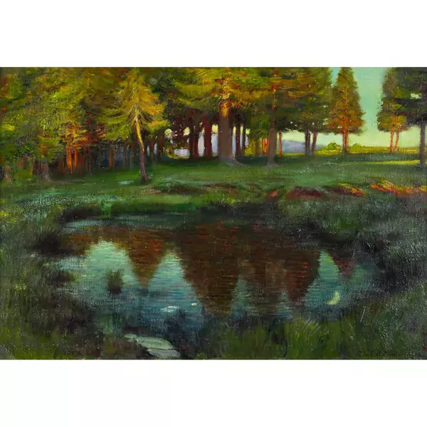 Petit lac dans la forêt