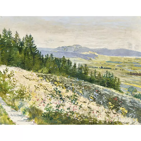 Blühende Wiese