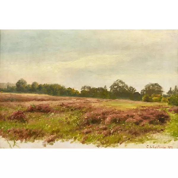 Paysage