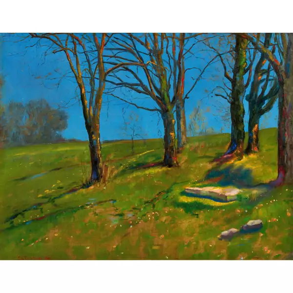 Paysage au printemps