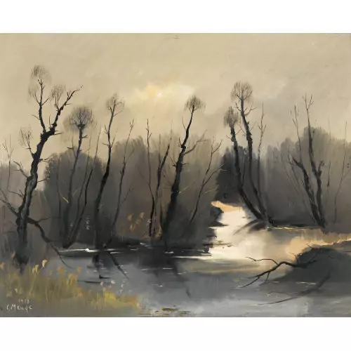 Auenlandschaft