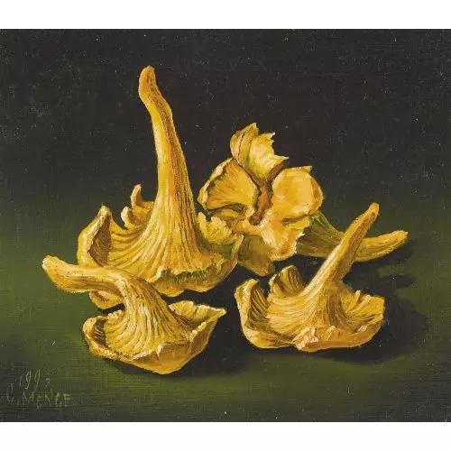 Pfifferlinge