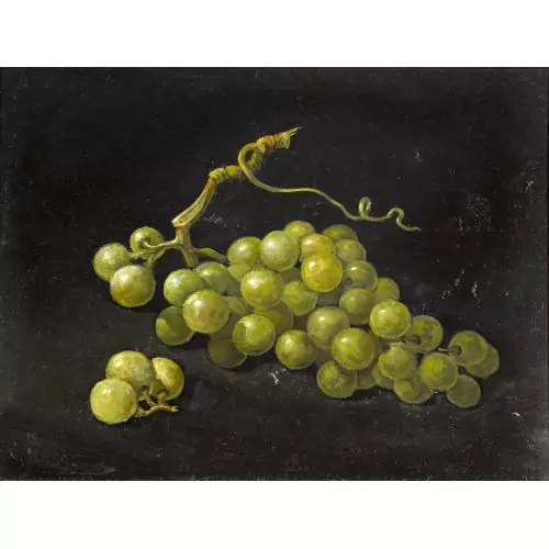 Nature morte aux raisins