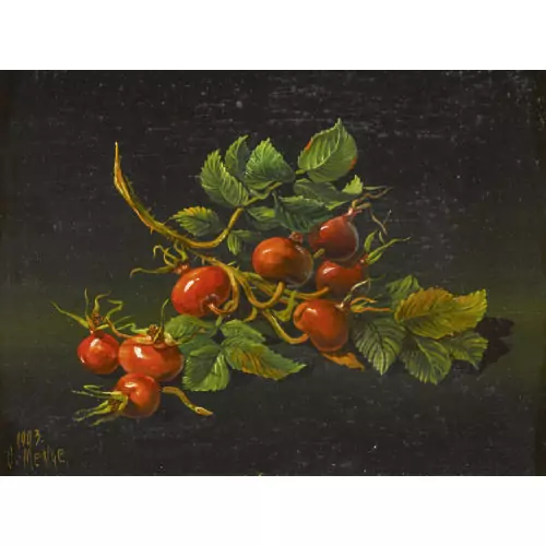 Nature morte aux cynorrhodons