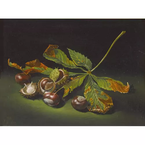 Nature morte aux marrons d′Inde