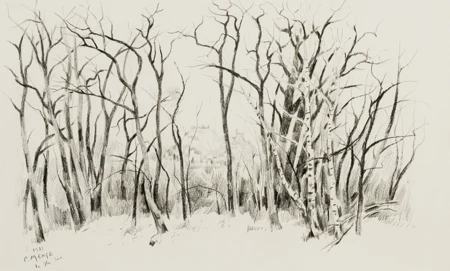 Arbres
