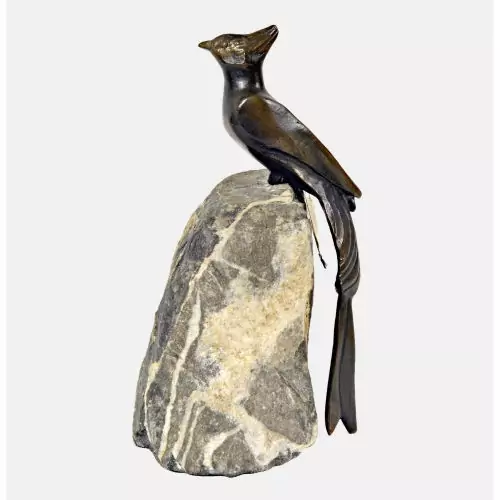Vogel