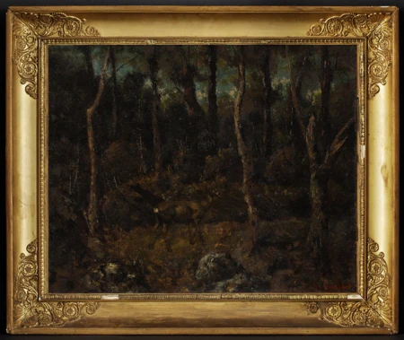 Biche dans le sous-bois