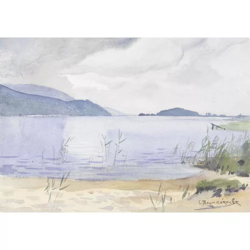 Christian Baumgartner — "Am Bielersee".