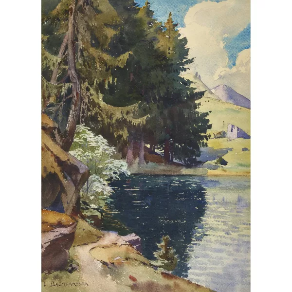 Christian Baumgartner — Uferlandschaft.