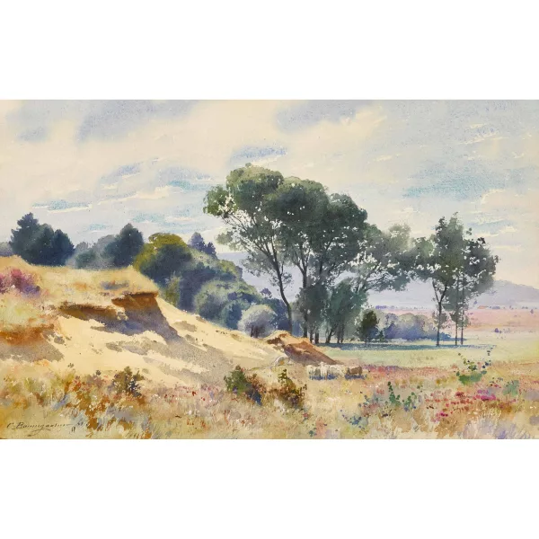Christian Baumgartner — Sommerliche Landschaftspartie mit Schafherde.