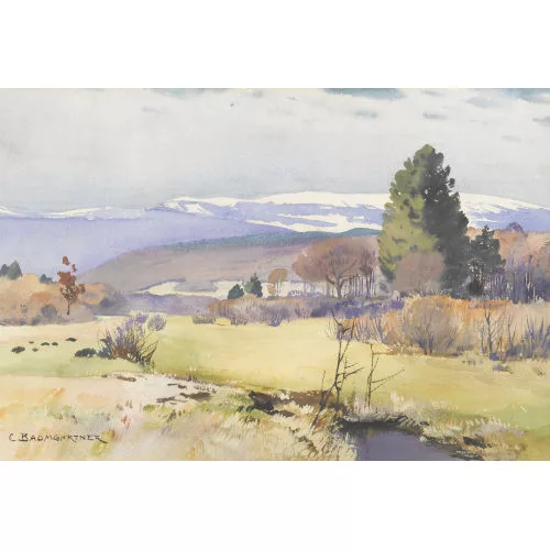 Christian Baumgartner — Vorfrühlingslandschaft im Bernbiet.