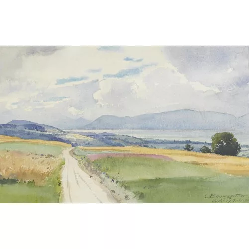 Christian Baumgartner — Wiesenlandschaft mit Blick auf den Genfersee.