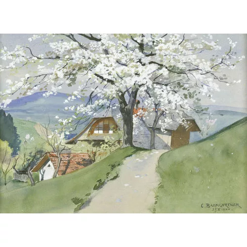 Christian Baumgartner — Blühender Kirschbaum vor Bauernhaus am Hang.