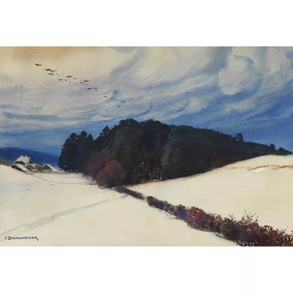 Christian Baumgartner — Winterlandschaft.