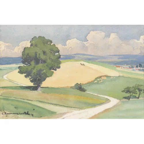 Christian Baumgartner — Sommerliche Landschaft im Bernbiet.