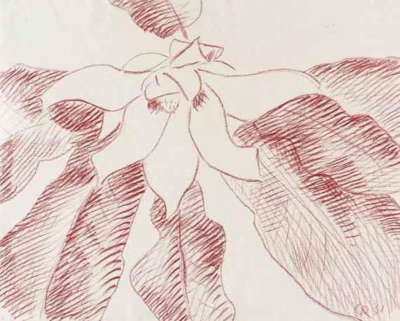 Christian Rohlfs — Große Magnolie