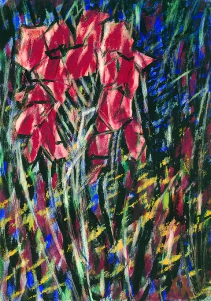 Christian Rohlfs — Canna Indica
