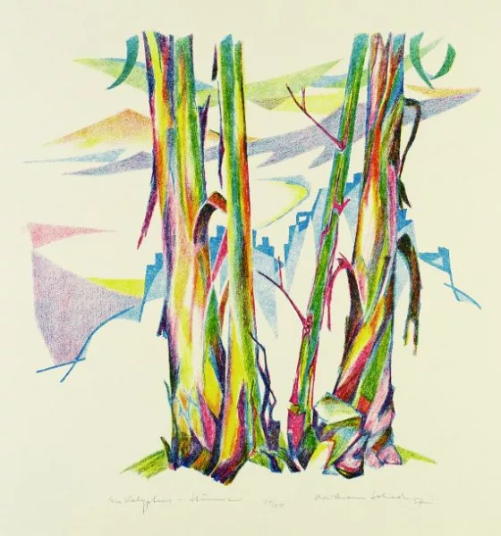 Christian Schad — Eukalyptus-Stämme