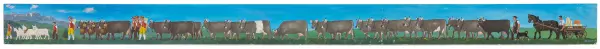 Appenzeller Sennenstreifen