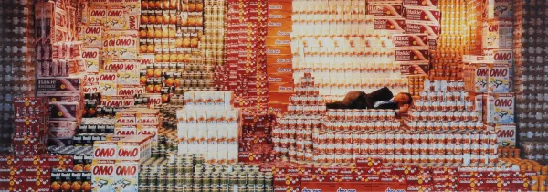 Christoph Rütimann — Der grosse Schlaf, 1995