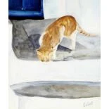 Die Katze