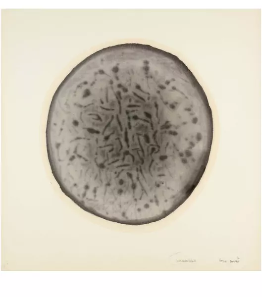 Corsin Fontana — Mikrostruktur — Galerie Kornfeld