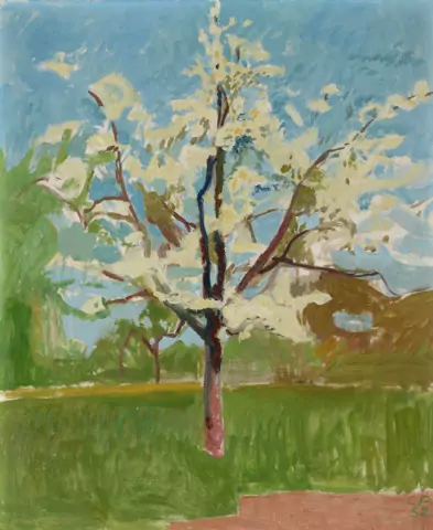 Blühender Baum, 1952
