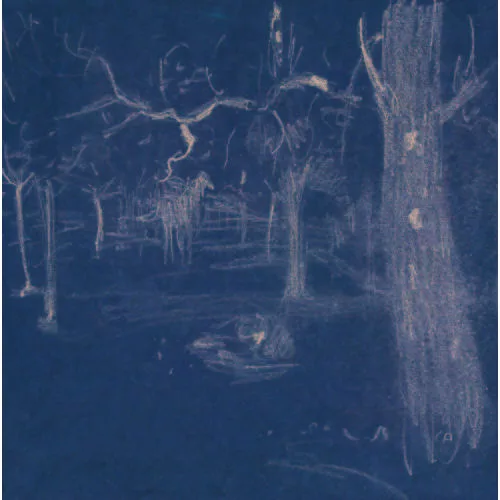 Cuno Amiet — Kalberweidli.