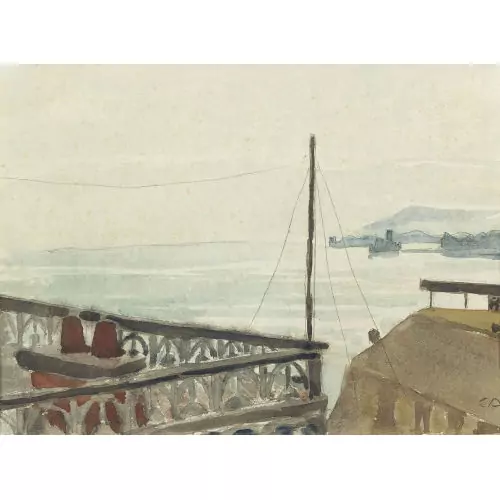 Dachausblick von Montreux auf die Île de Salagnon