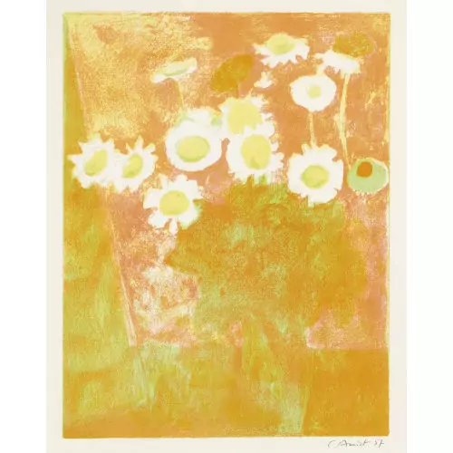 "Blumenstilleben: Margeriten"