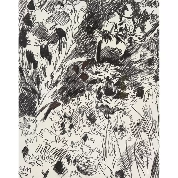 Blumen im Garten