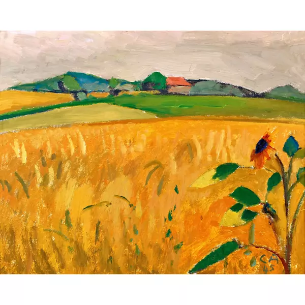 Sommerliche Feldlandschaft