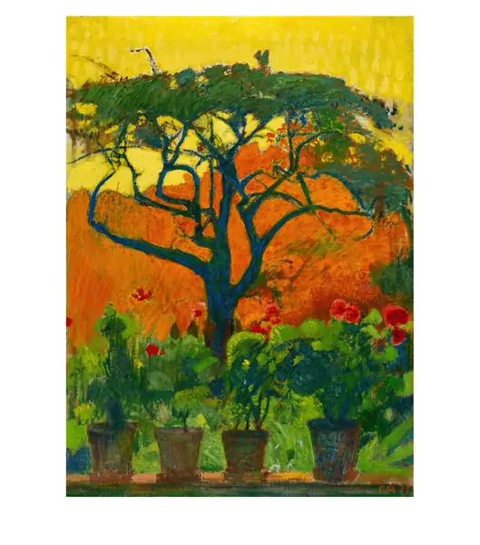 Cuno Amiet — Der alte Baum — Galerie Kornfeld