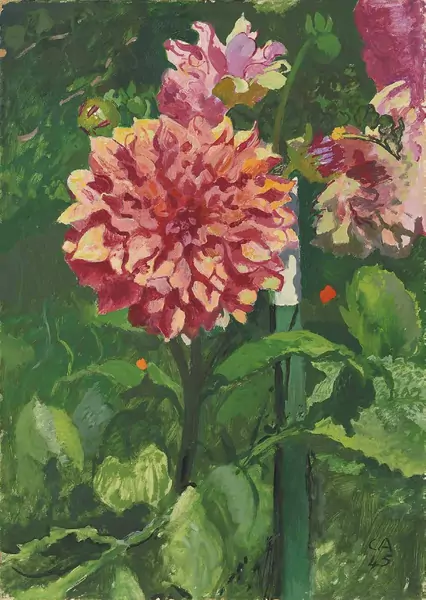 Cuno Amiet — Dahlie — Galerie Kornfeld