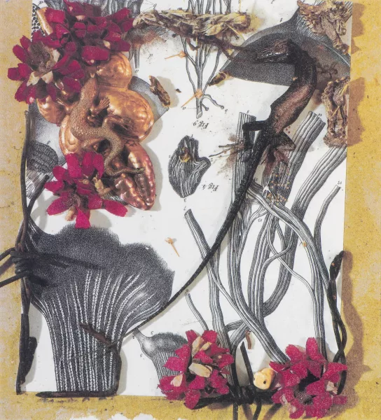 Daniel Spoerri — figures