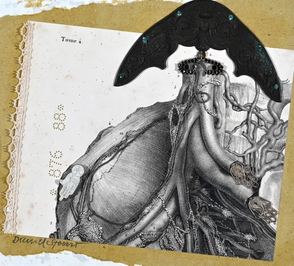 Daniel Spoerri — Collage aus der Serie "La médicine opératoire dessinée d'après nature par N.H. Jacob", 1995