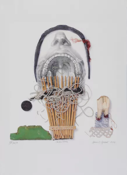 Daniel Spoerri — Maulzaun, 2001