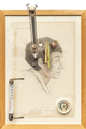 Malatie delle pelle, 1986