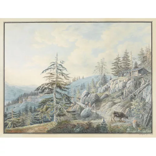 David Alois Schmid — Auf dem Weg von Rigi First nach Rigi Kaltbad.