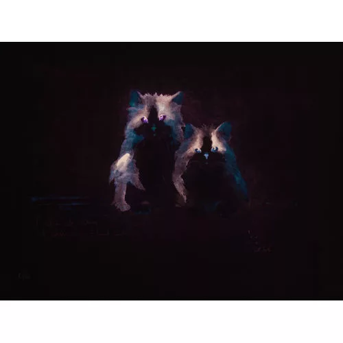 Dédé — "L′idée du calme est un chat assis!".