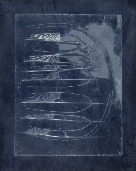 Dieter Roth — Kämme, 1972
